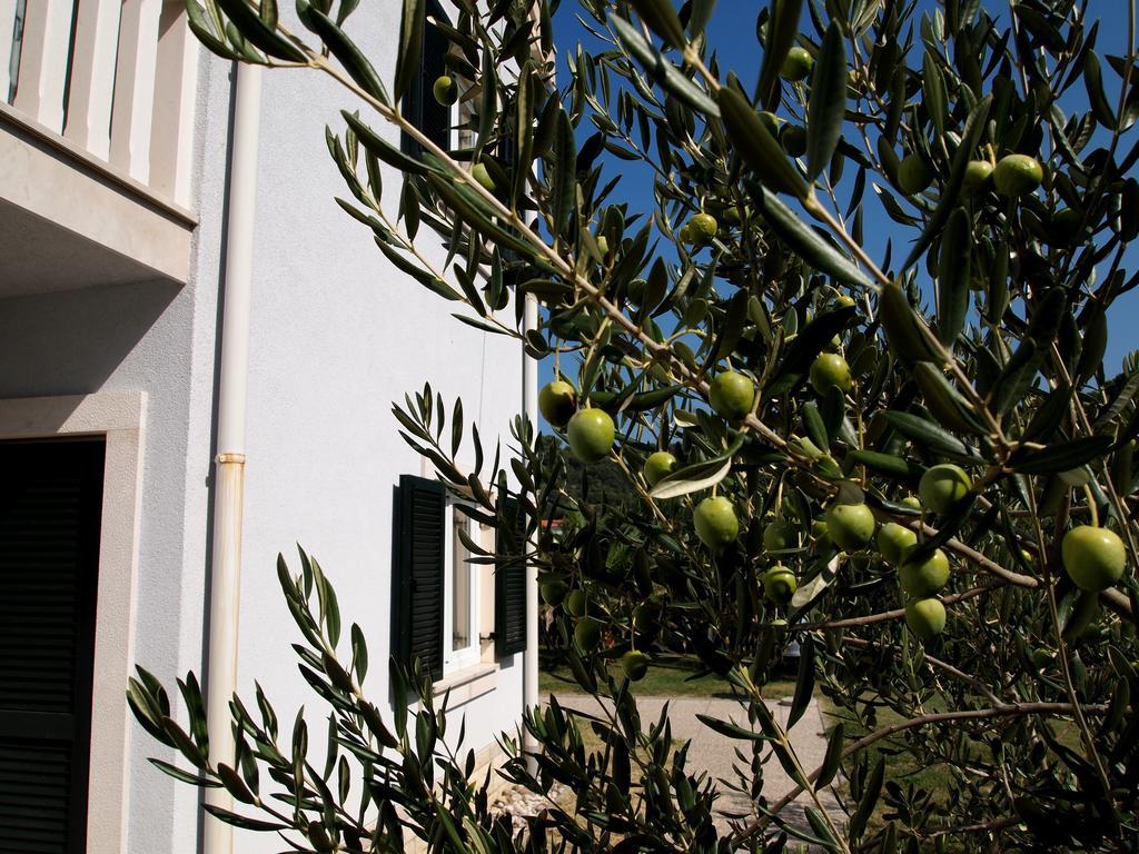 Villas Rab Palit Rom bilde